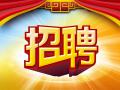 QڡI(y)! ߅Б(yng)ģһӛD(zhun)o!