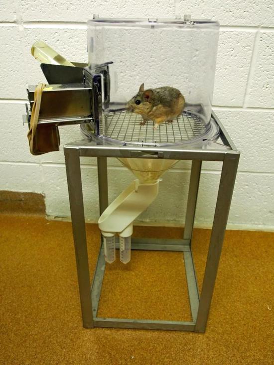 Įڴx\(ni) DƬԴwww.eurekalert.org