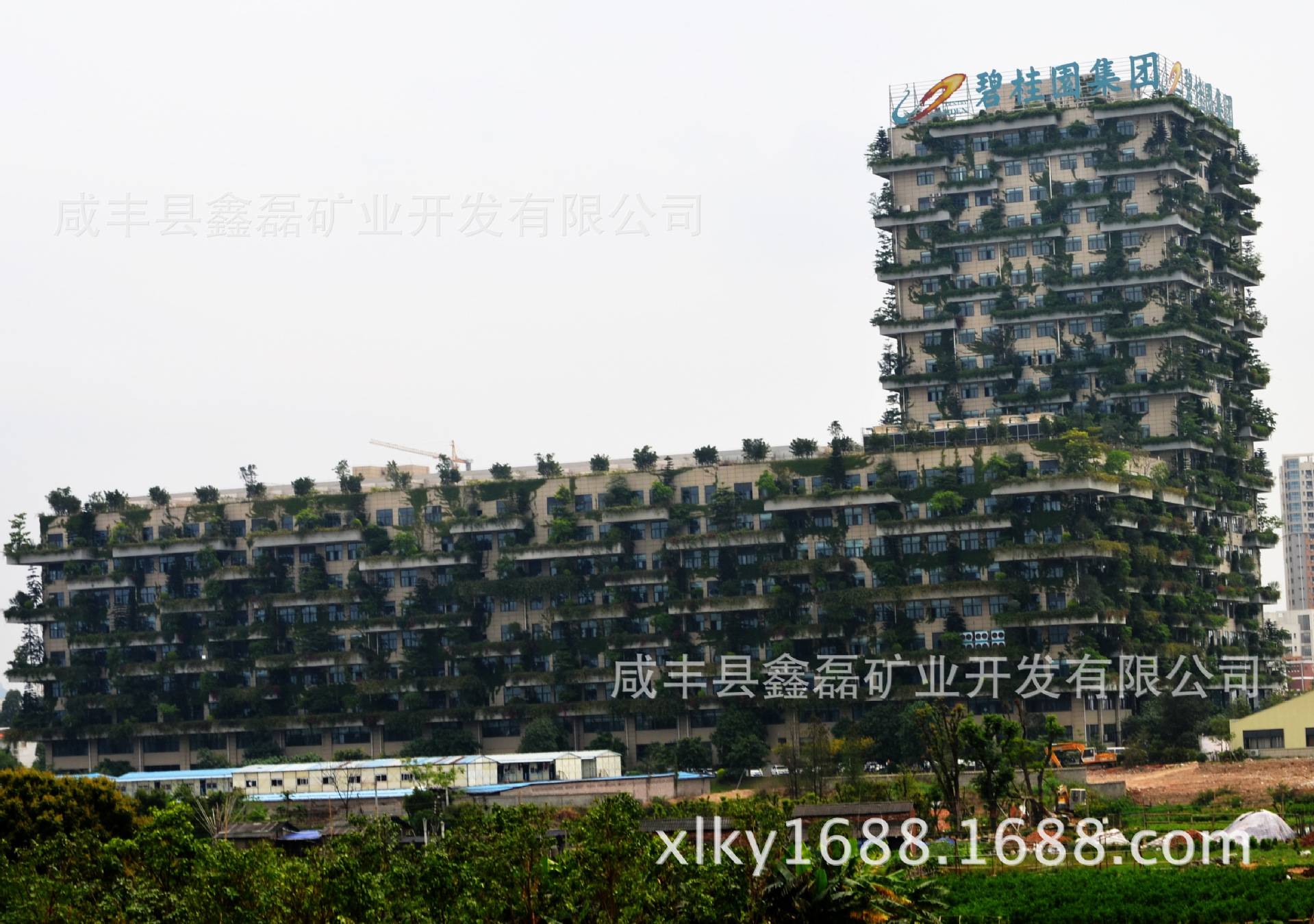 【自有礦山】 文化中心 專用 藝術(shù)裝修 安琪米黃 新品石材